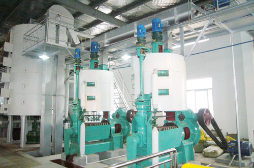 Automatischer Schrauben-Ölpresse-Vertreiber für Rapssamen/Baumwollsamen 18.5KW
